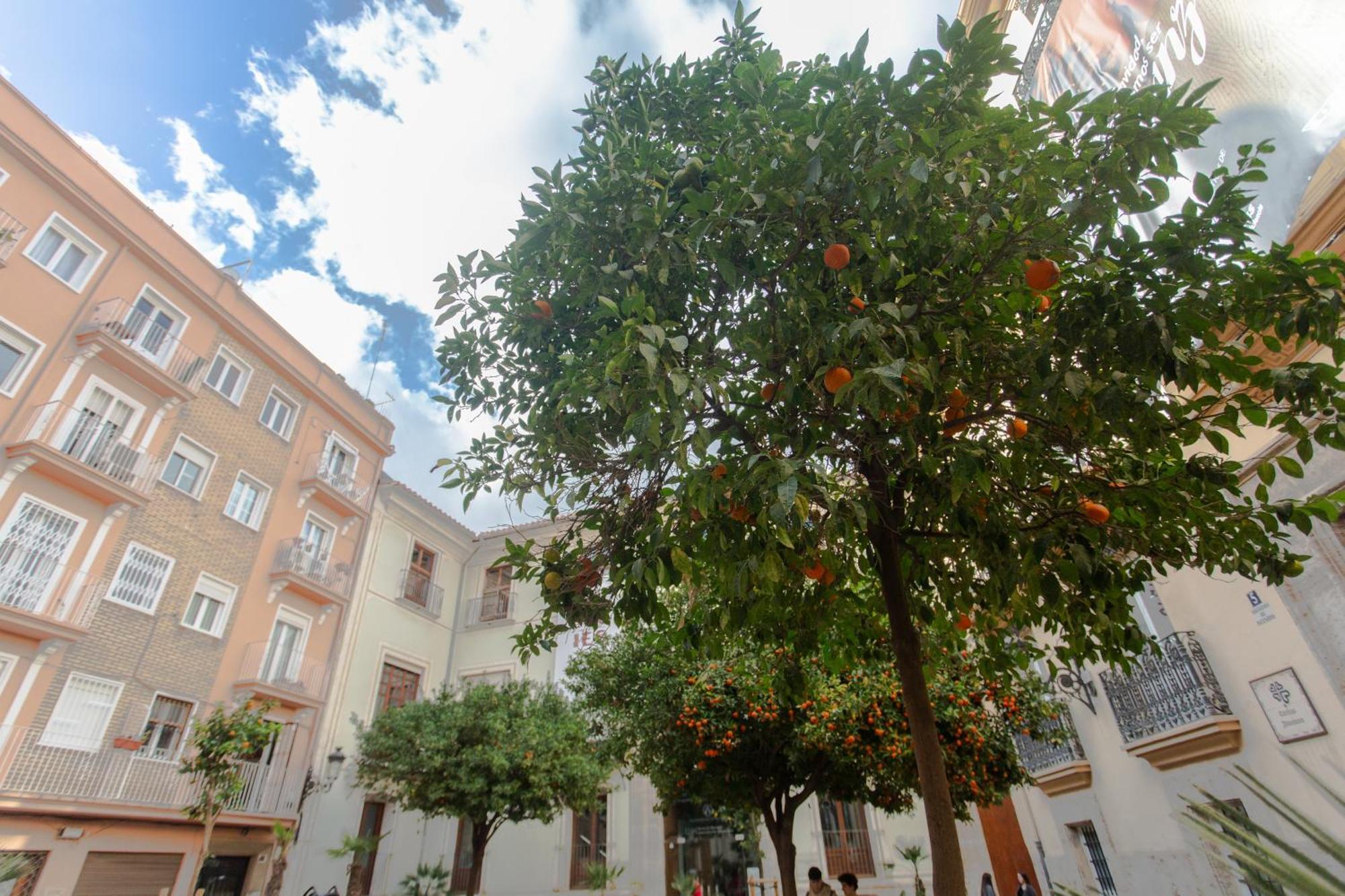 Vlc - Tranquilo Apartamento En Plaza Cisneros バレンシア エクステリア 写真